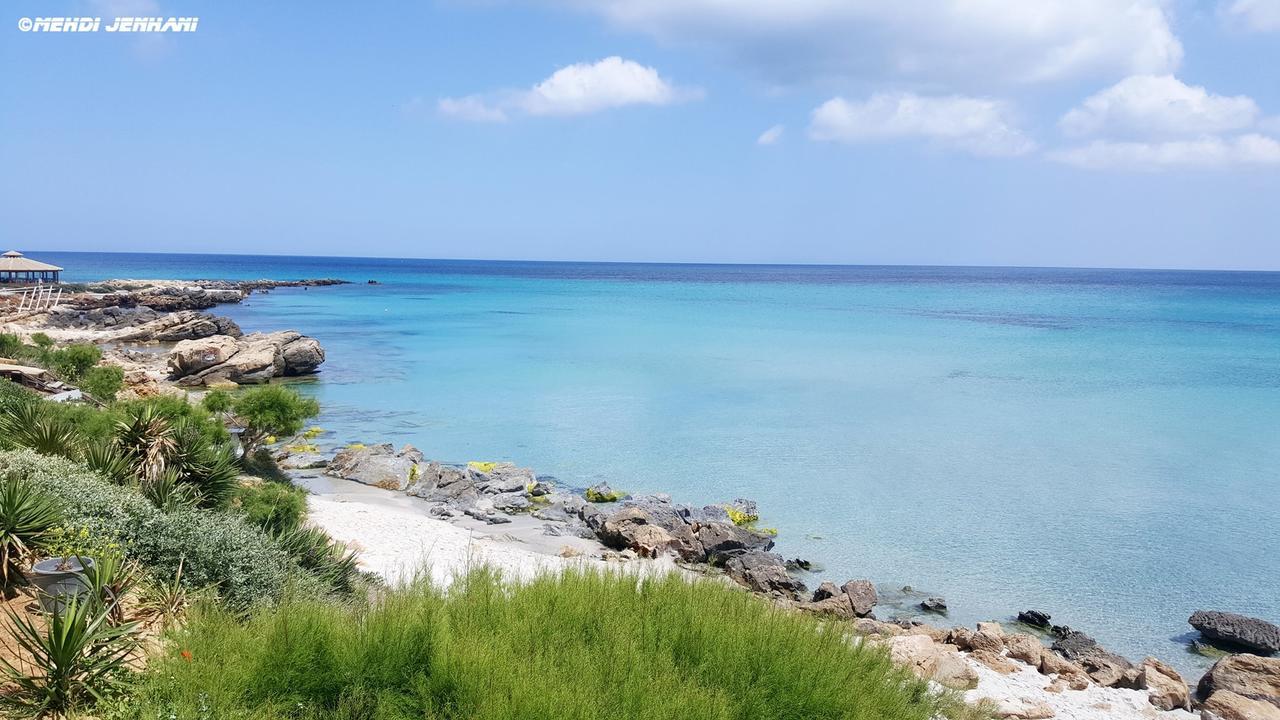 Appartement "Dina" Kelibia Dış mekan fotoğraf